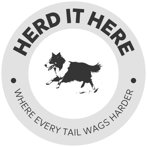 Herd It Here